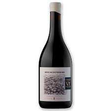 Staphyle Microterroirs Malbec - Vista Flores