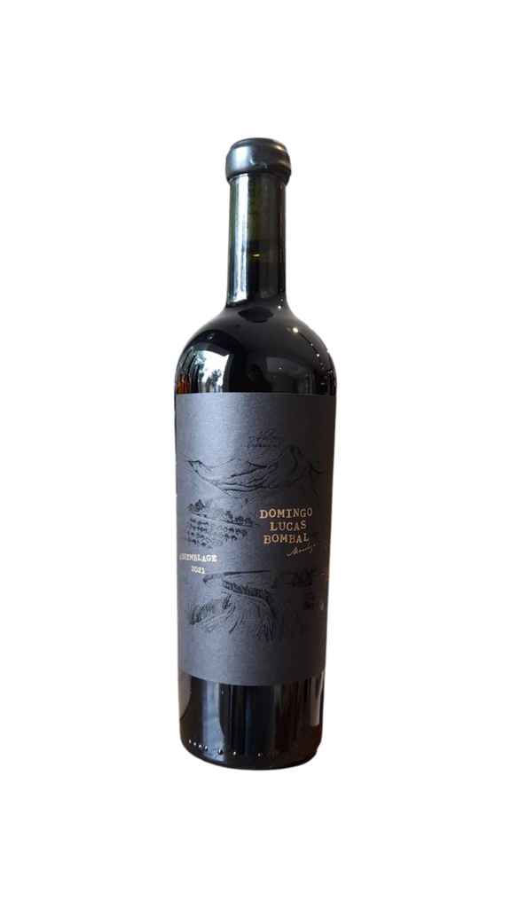 Domingo Lucas Bombal Assemblage