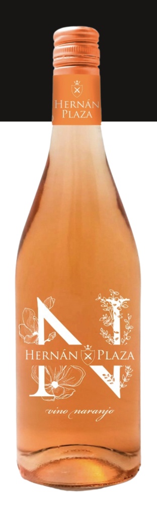 Hernan Plaza Naranjo