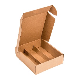 Estuche Carton x3